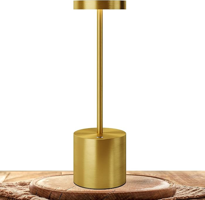 LED Cordless Table Lamps, Portable Rechargeable Battery Operated Lamp, Modern Metal 2 Level Dimma... | Amazon (US)
