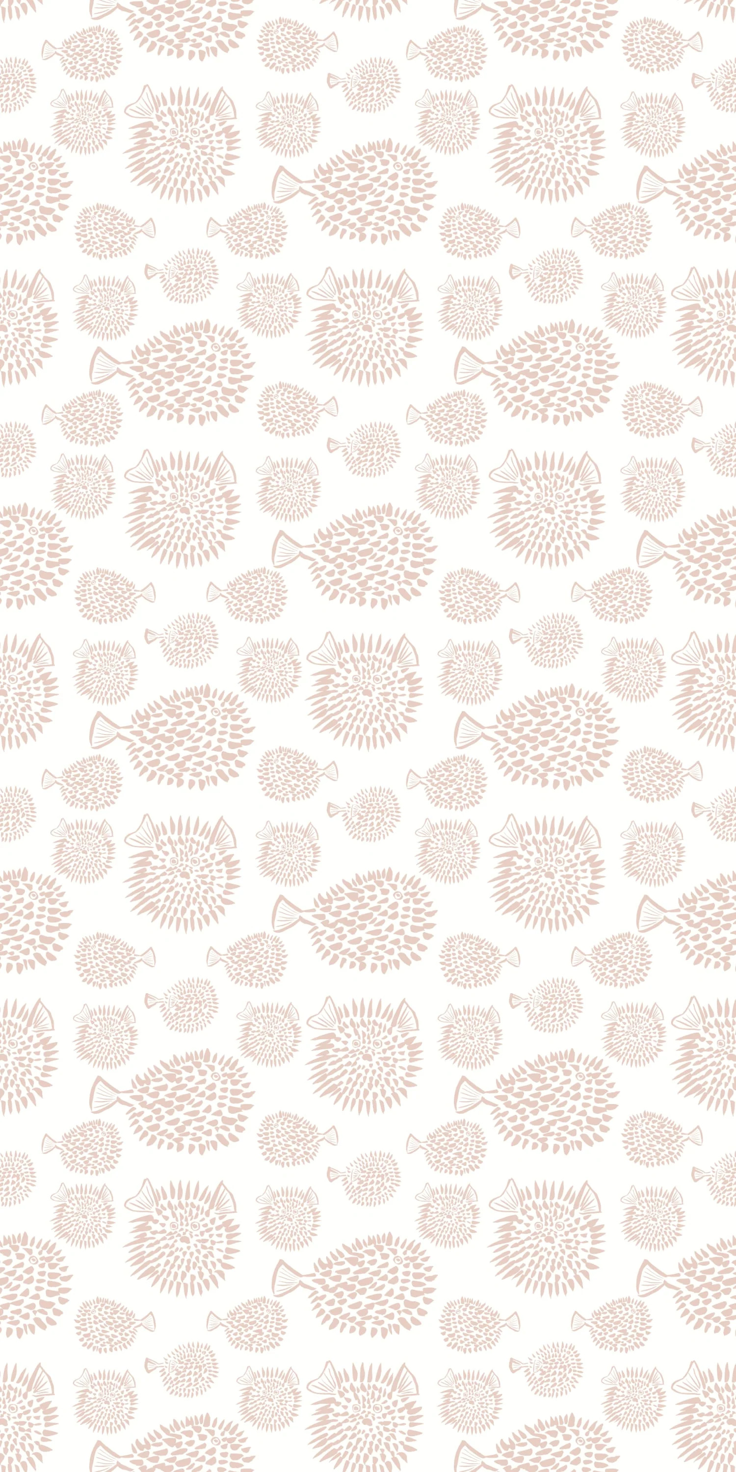 Blowfish | Chasing Paper