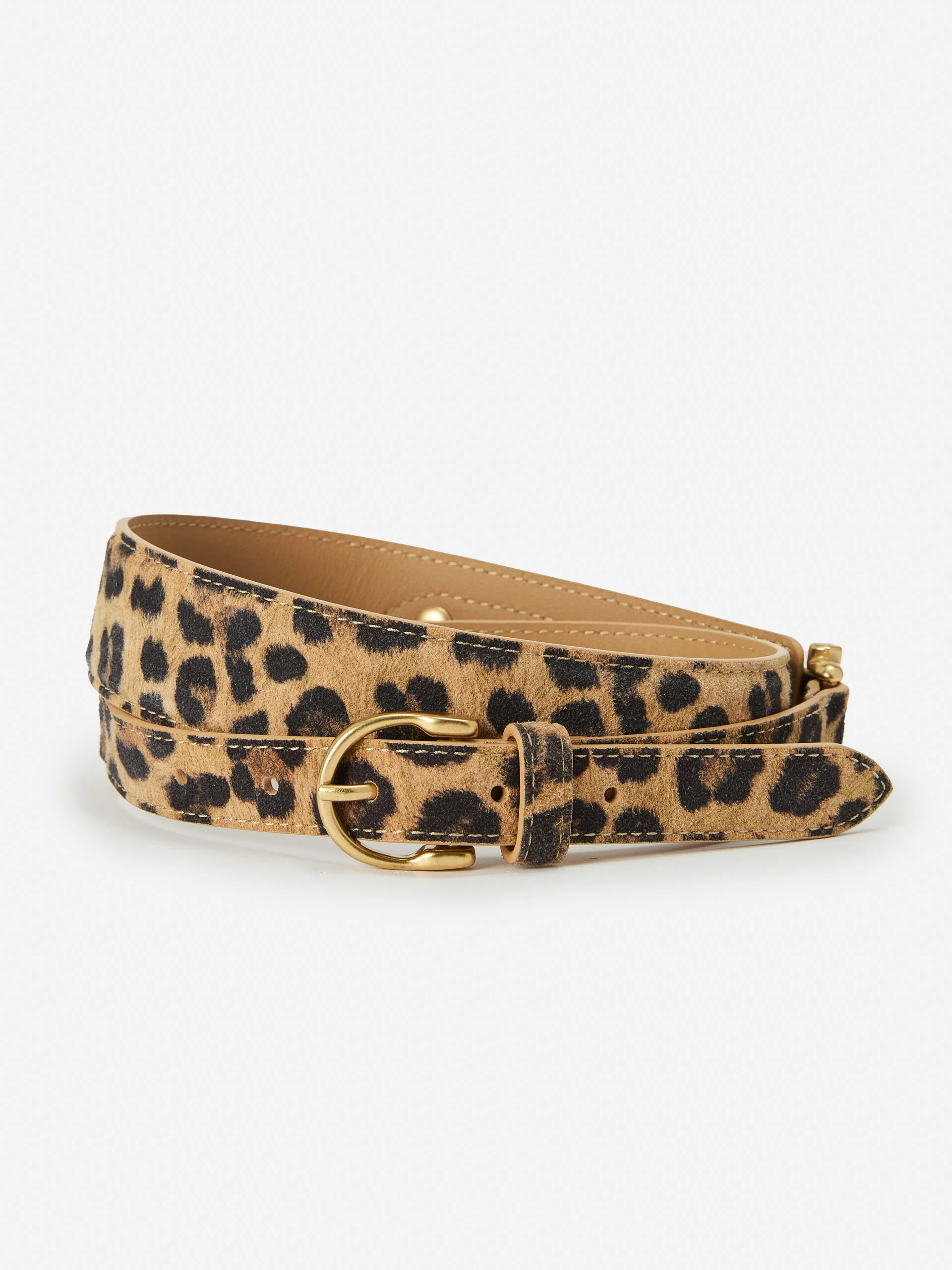 Danica Suede Belt in Leopard | J.McLaughlin