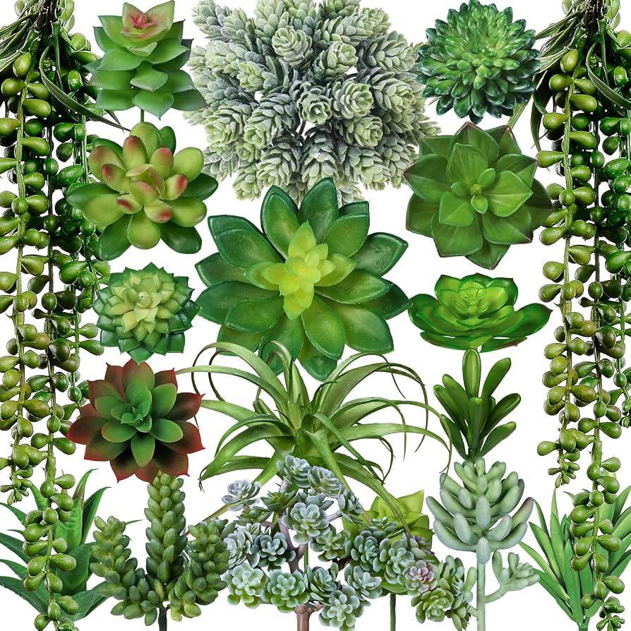 Winlyn 19 Pcs Assorted Artificial Succulents Plants Unpotted Small Green Aloe Hops Cactus String ... | Amazon (US)