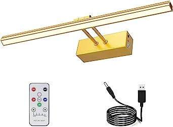 RAIFOOLLY Picture Light, 16" Metal Rechargeable Picture Lights for Paintings,Remote Control Displ... | Amazon (US)