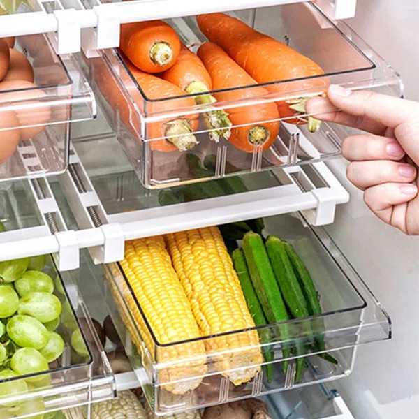Anneliesse Refrigerator Pull Out Drawer | Wayfair Professional