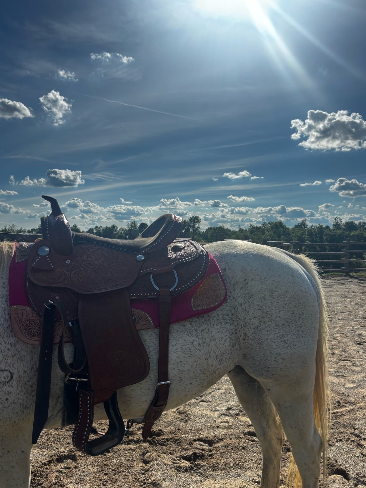 Perfect night and weather for a class with the Fellowcould Family 🩷 Roman is a retired cutting horse so it was fun to see him back in his element

#LTKdayinmylife #LTKootd #LTKTravel