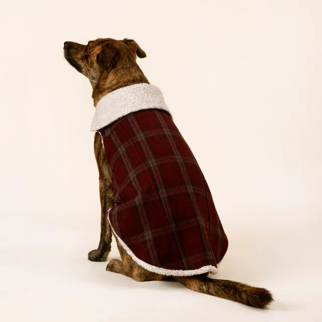 Classic Sherpa-Lined Dog Coat | UncommonGoods
