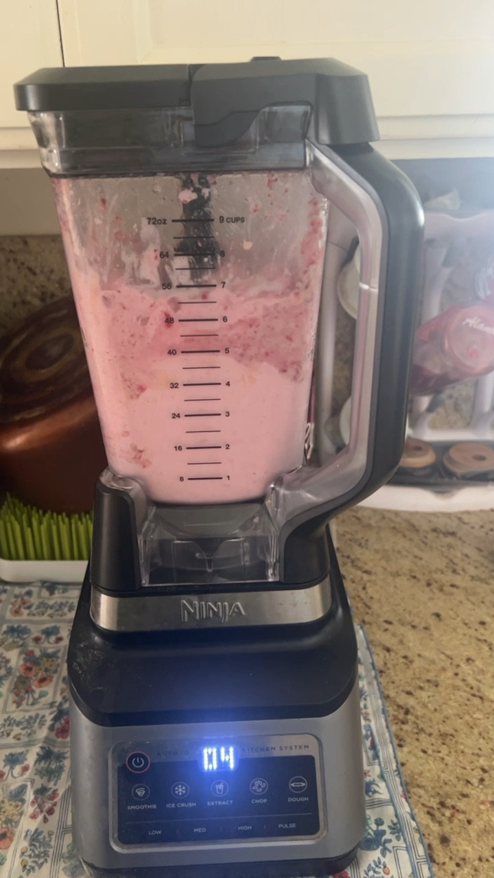 Our Point of View on Ninja Blenders  Ninja BN801 Professional Plus 