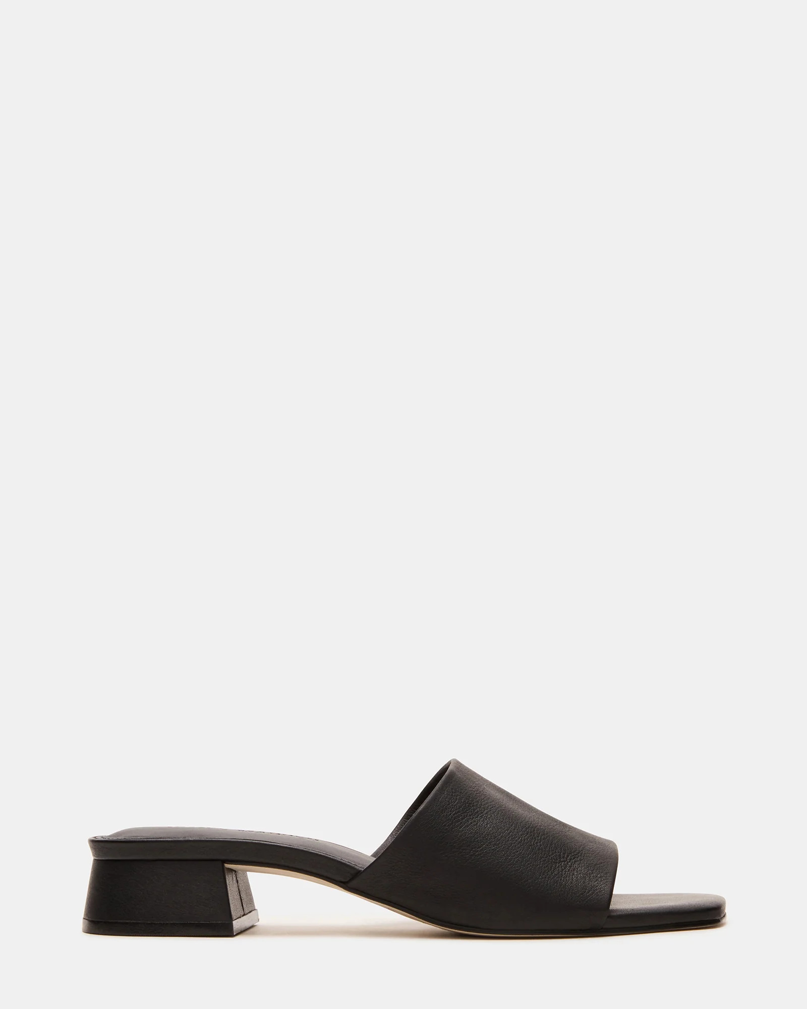 Montgomery Black Leather | Steve Madden (US)