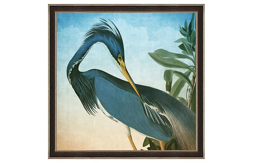 Audubon Heron Print | One Kings Lane