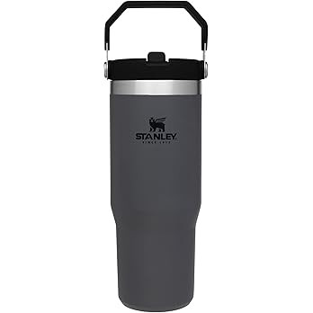 Stanley IceFlow Stainless Steel Tumbler with Straw, Vacuum Insulated Water Bottle for Home, Offic... | Amazon (US)