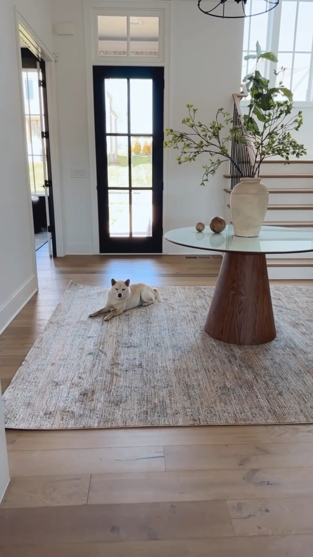 New entryway rug! Part of the collaboration between Loloi x Jean Stoffer 
I chose a neutral, soft texture rug with short fringe. 
Area rugs
Neutral home decor 
Area rugs
Entryway design
Home furnishings 
Wayfair finds


#LTKhome #LTKstyletip #LTKsalealert