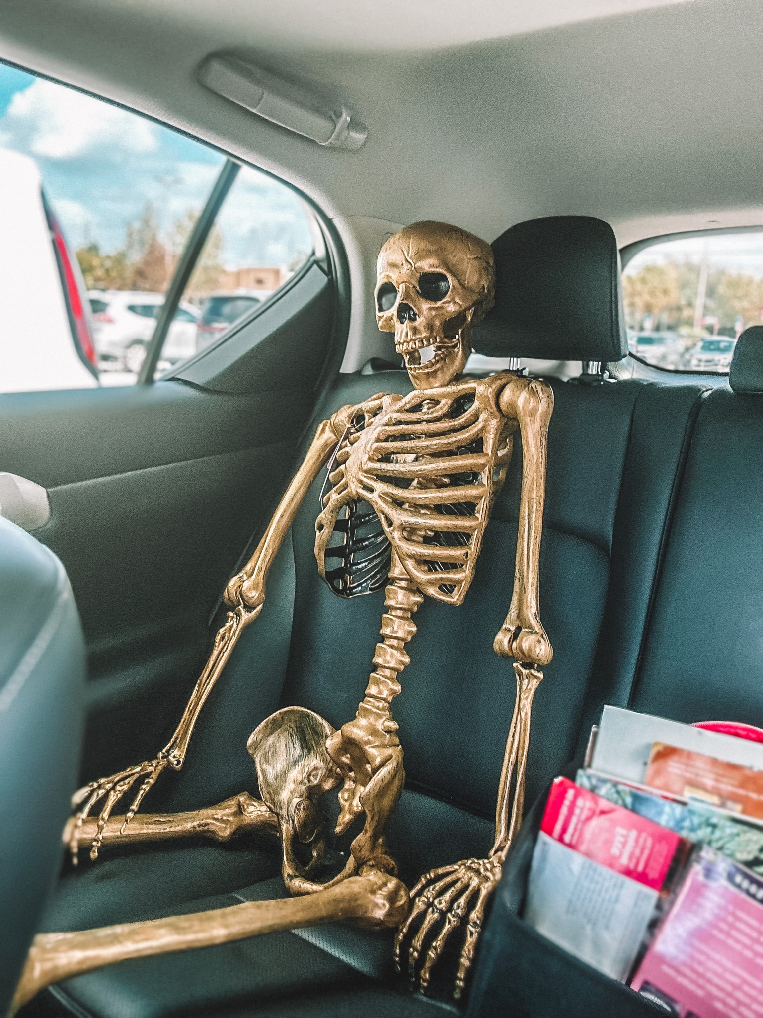 Target find on sale! Posable gold skeleton Halloween decor

#LTKSeasonal #LTKsalealert #LTKHalloween