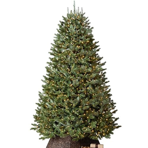 Balsam Hill BH Fraser Fir - Full Christmas Tree with Most Realistic True Needle Foliage, Easy Plug Technology & Multiple Height and Lighting Options, LED Clear, 12ft | Amazon (US)