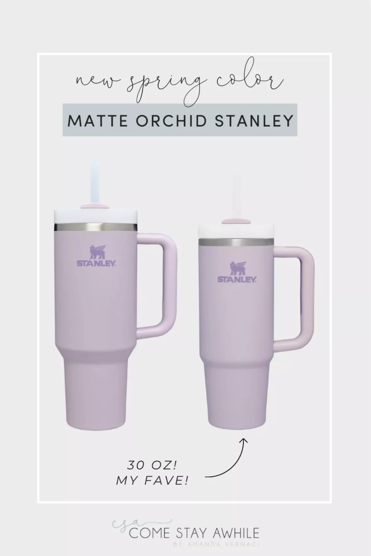 Very Rare Stanley 30 oz Soft Matte Tumbler Orchid Hardest To Find