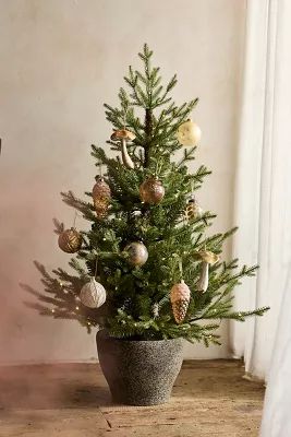 Pre-Lit Faux Potted Norway Spruce | Anthropologie (US)