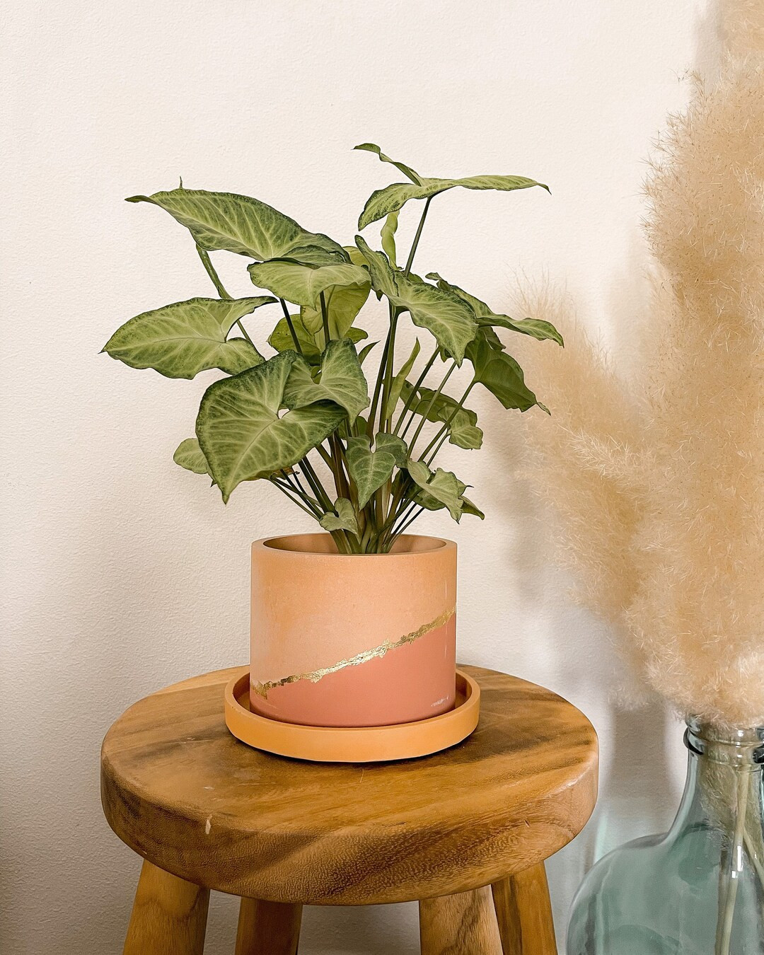 Two-Tone Gold Flake Concrete Planter with drainage hole / Concrete plant pot / Cement planter | Etsy (US)