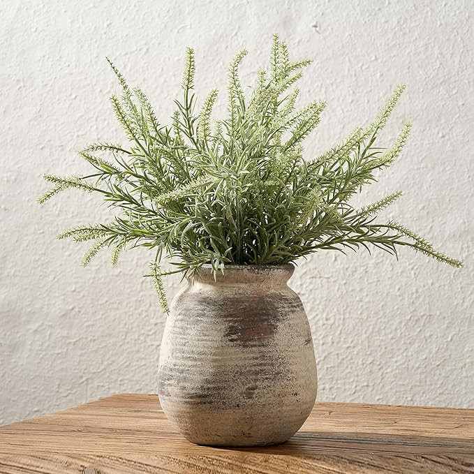 Amazon.com: SIDUCAL Ceramic Rustic Vase, Whitewashed Terra Cotta Vase, Distressed Farmhouse Déco... | Amazon (US)