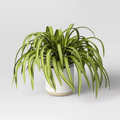 Cb1 Small Spider Ceramic Pot - Threshold™ | Target
