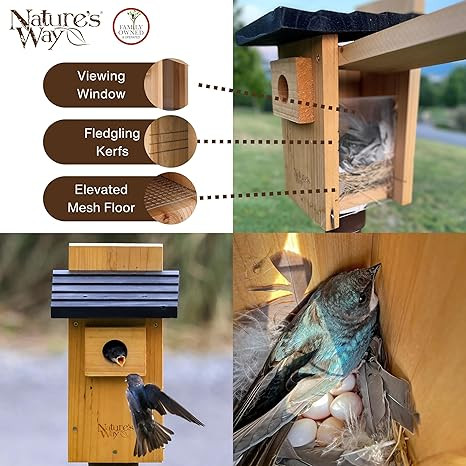 Nature's Way Bird Products CWH4 Cedar Bluebird Viewing House | Amazon (US)