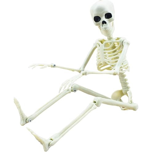 JOYIN 5.6 FT Halloween Posable Life Size Skeleton Full Body Realistic Bones with Movable Joints f... | Amazon (US)