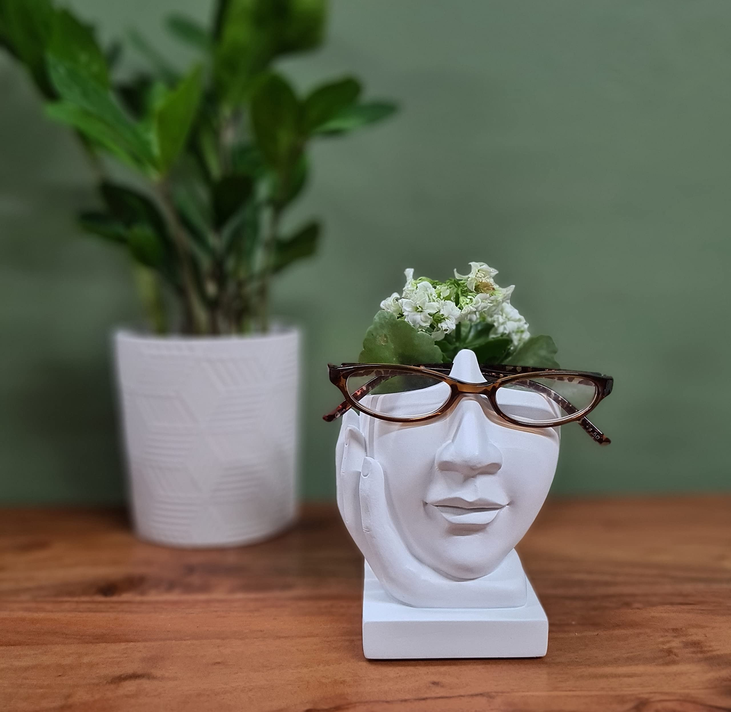 JewelryNanny Artsy Succulents or Air Plants Vase Face Eyeglass Holder - Sculpted Nose for Eyeglas... | Amazon (US)