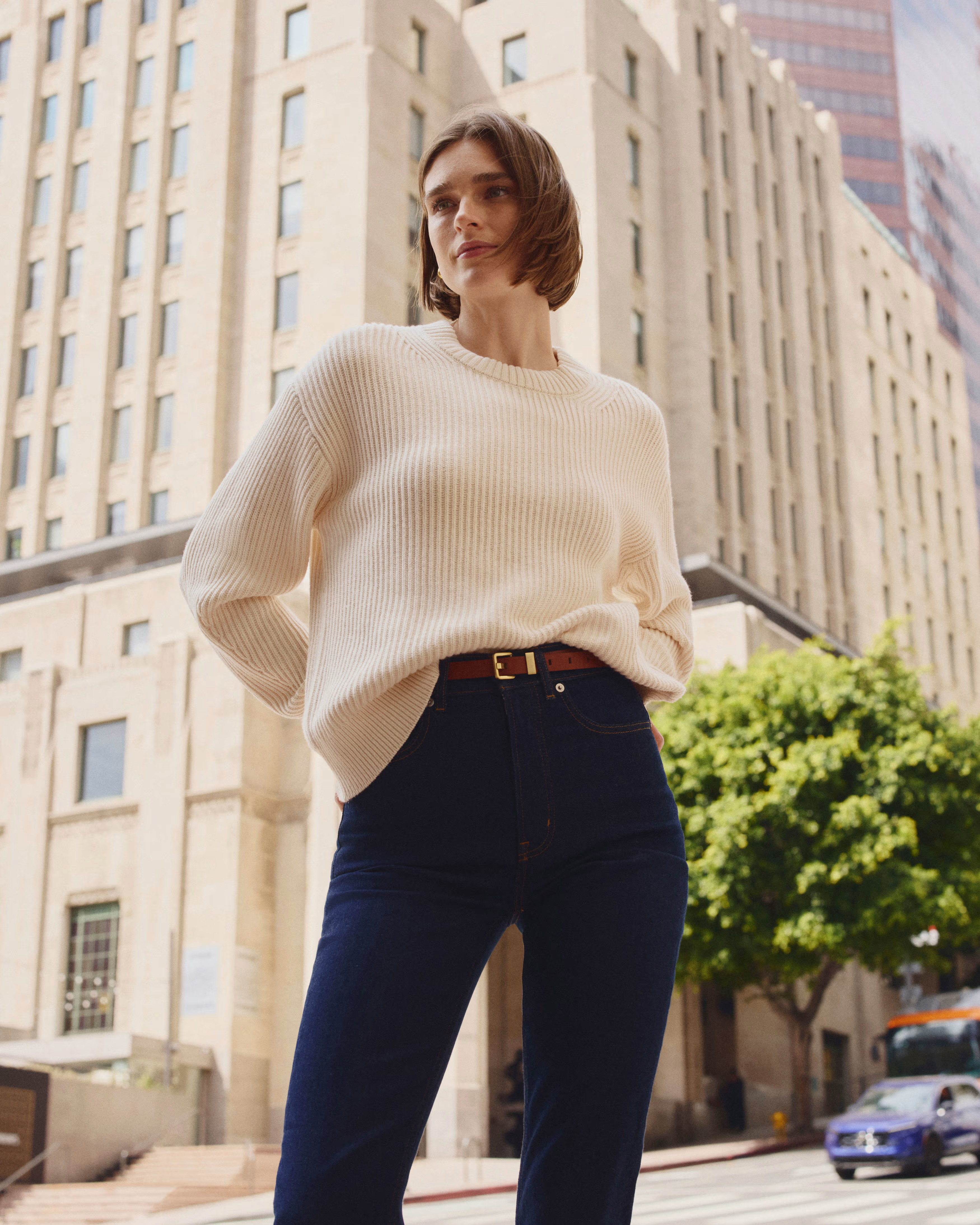 The Cocoon Crew in Everyday Cotton | Everlane