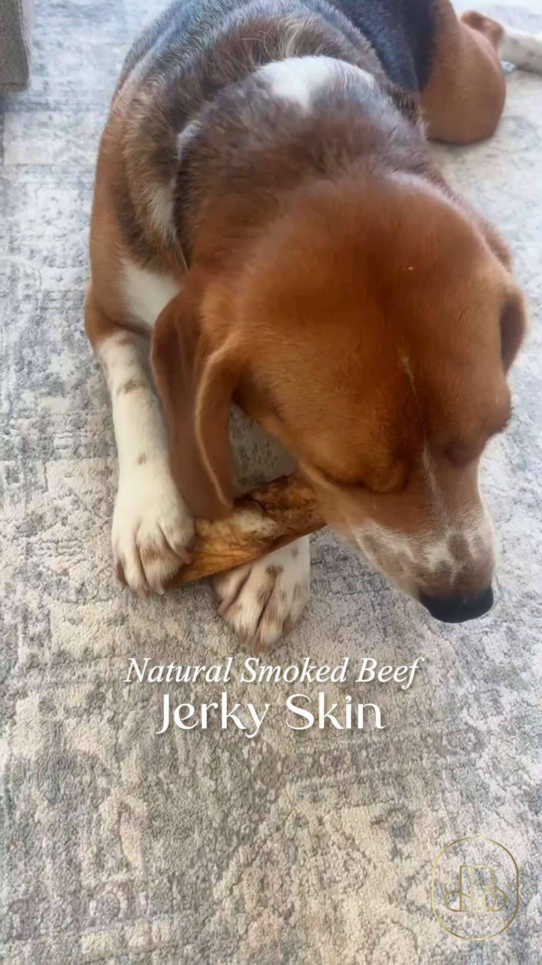 Give your dog a taste of the wild with a snack that’s as natural as it gets! 🍖 Powerpet Natural Smoked Beef Jerky Skin is the ultimate high-value treat for training or rewarding. Great gift ideas for a "puppy homecoming" basket, a doggy birthday, or as a special "good boy" treat after a long day at the park! 🦴 #Powerpet #DogTreats #NaturalPetFood #PetWellness #BeefJerky #DogLifeHacks #DogTrainingTips 

#LTKHome