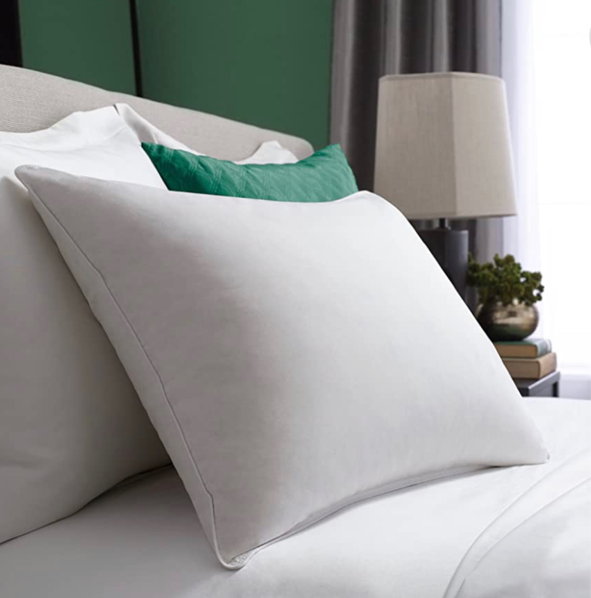 Pillows- I recently stayed at a hotel and loved the pillows. I of course stripped the pillowcase off to get the brand. While the brand wouldn’t tell me the exact model I found two similar by the same vendor. The $70 one is more firm. The $90 is more soft. I kept both but think I slightly prefer the more soft ones. You can decide based off your sleep preferences. 



#LTKFind #LTKhome