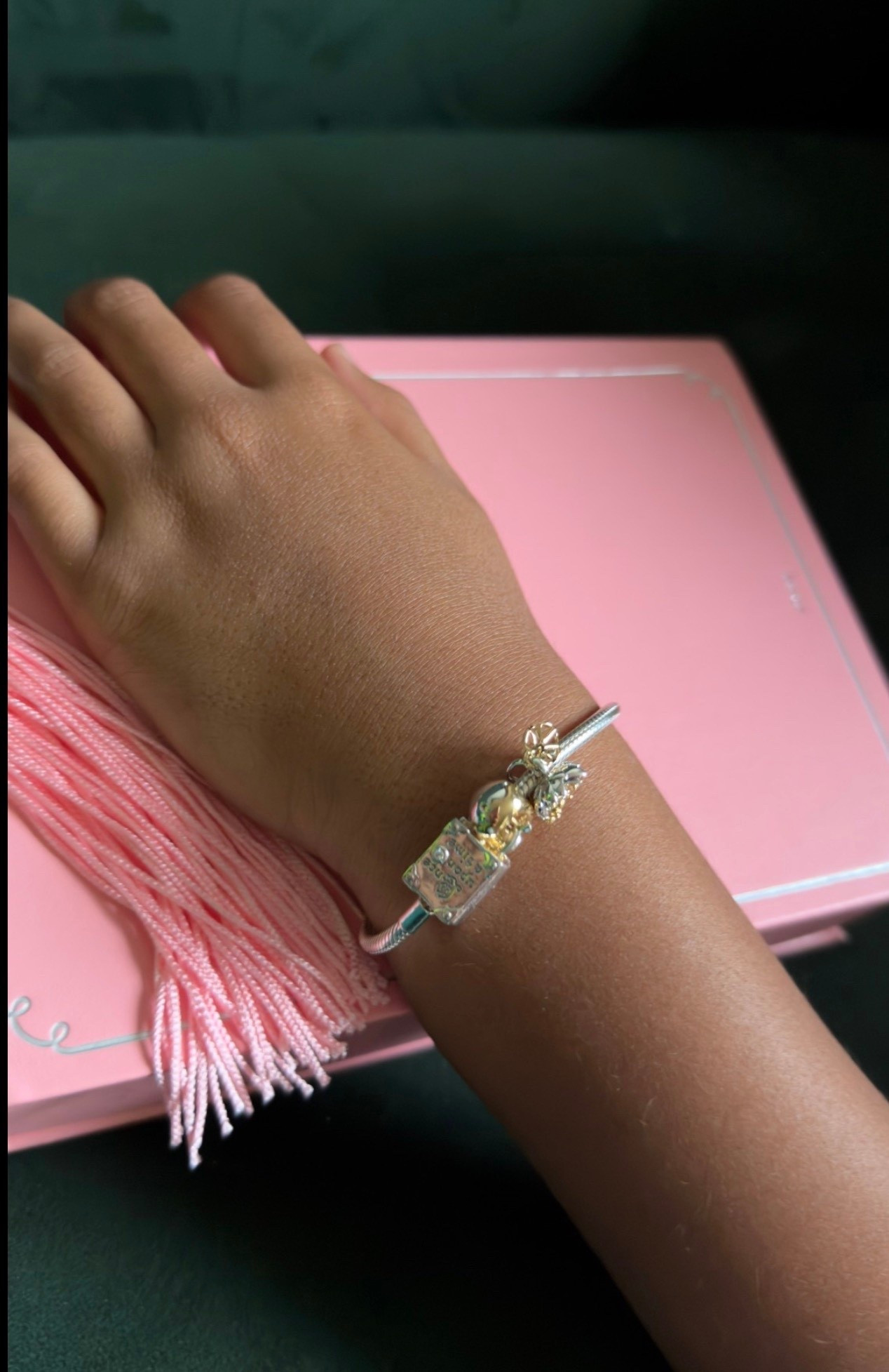 Little details I keep reaching for ✨💖

#bracelet #pandora #jewelryforwomen

#LTKSeasonal #LTKBeauty #LTKdayinmylife