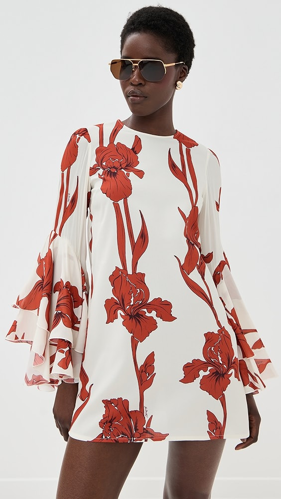 Friday Dress | Shopbop