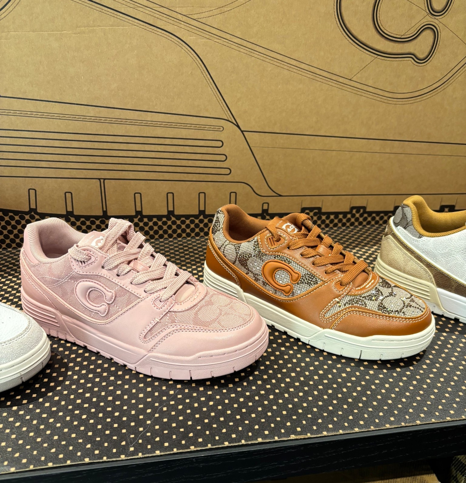 Coach finds I’m loving 🎀✨