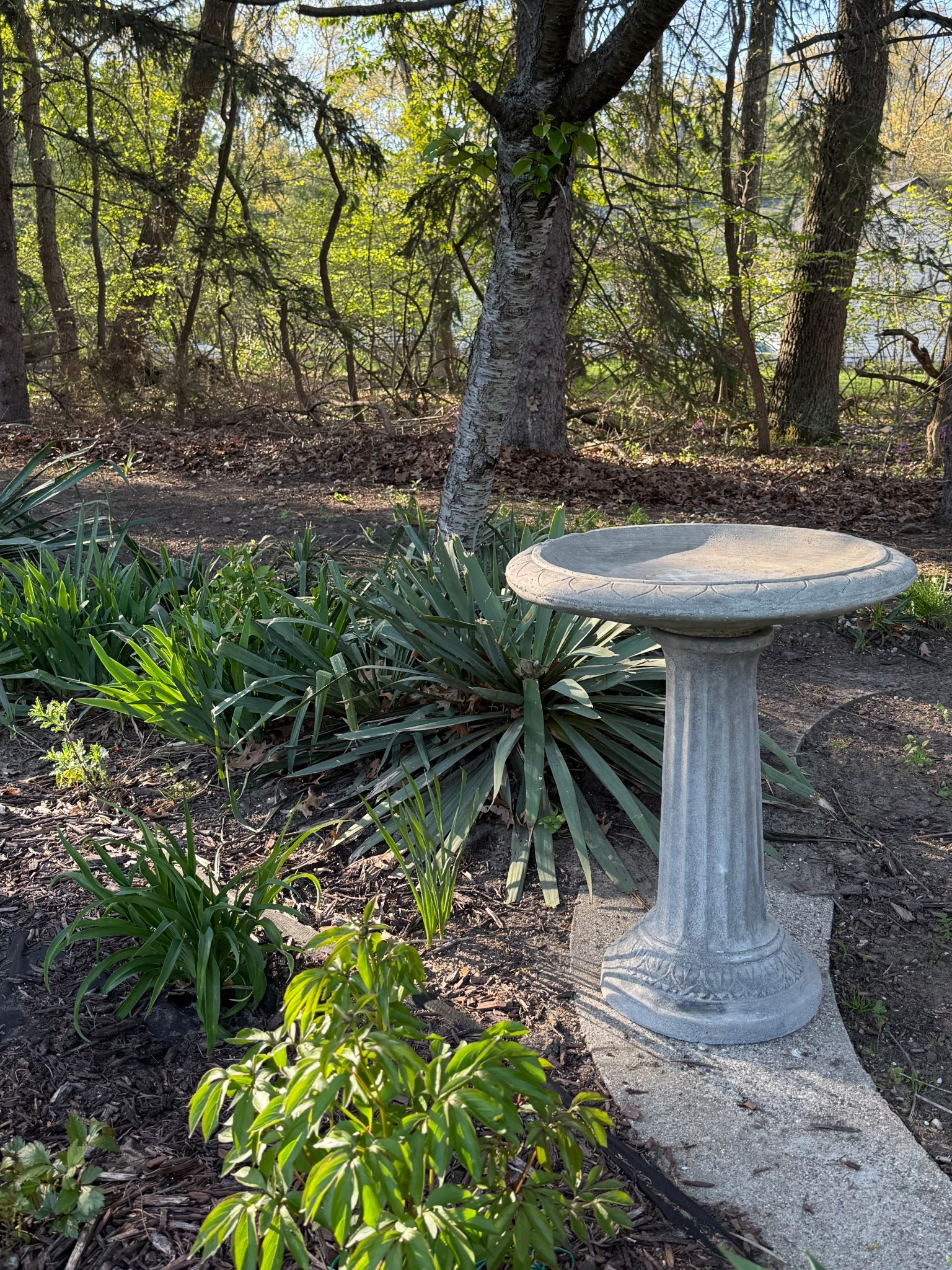 Bird bath of my dreams! #BirdBath #LowesFinds #LTKFamily #LTKGiftGuide

#LTKHome