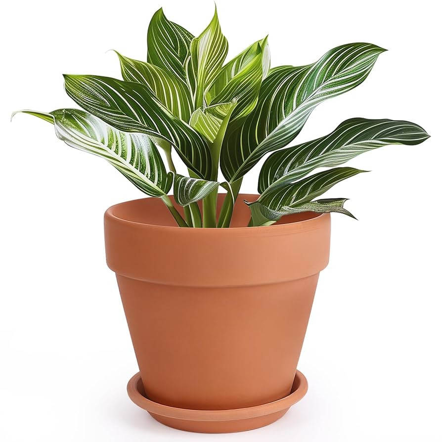 INGOFIN Terracotta Pot with Saucer - 10 Inch Ceramic Clay Pot for Plants with Drainage Hole, Larg... | Amazon (US)