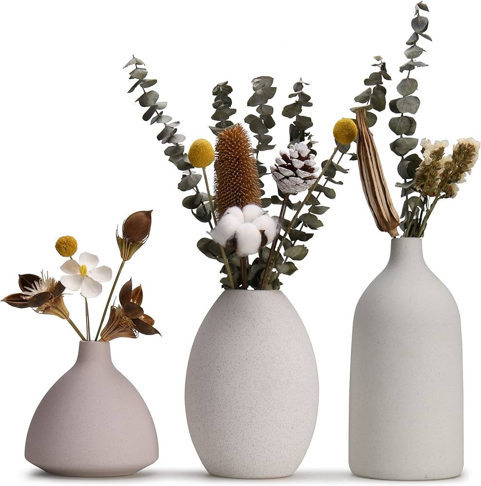 Wild & Wise Set of 3 Ceramic vase, Scandinavian Large vases-Minimalist Boho vase, Vases for Flowe... | Amazon (US)