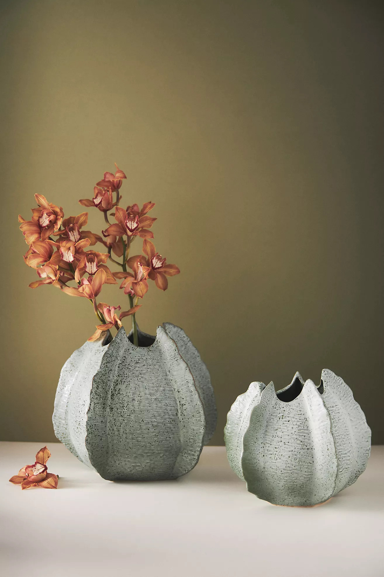 Horseshoe Ceramic Vase | Anthropologie (US)