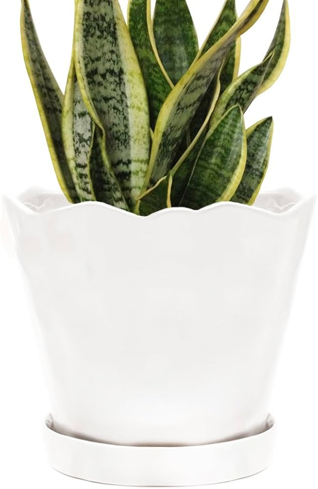 CHIVE ‘Tika’ Ceramic Planter Pot — Large 8" Succulent Pots for Indoor & Outdoor House Plant... | Amazon (US)