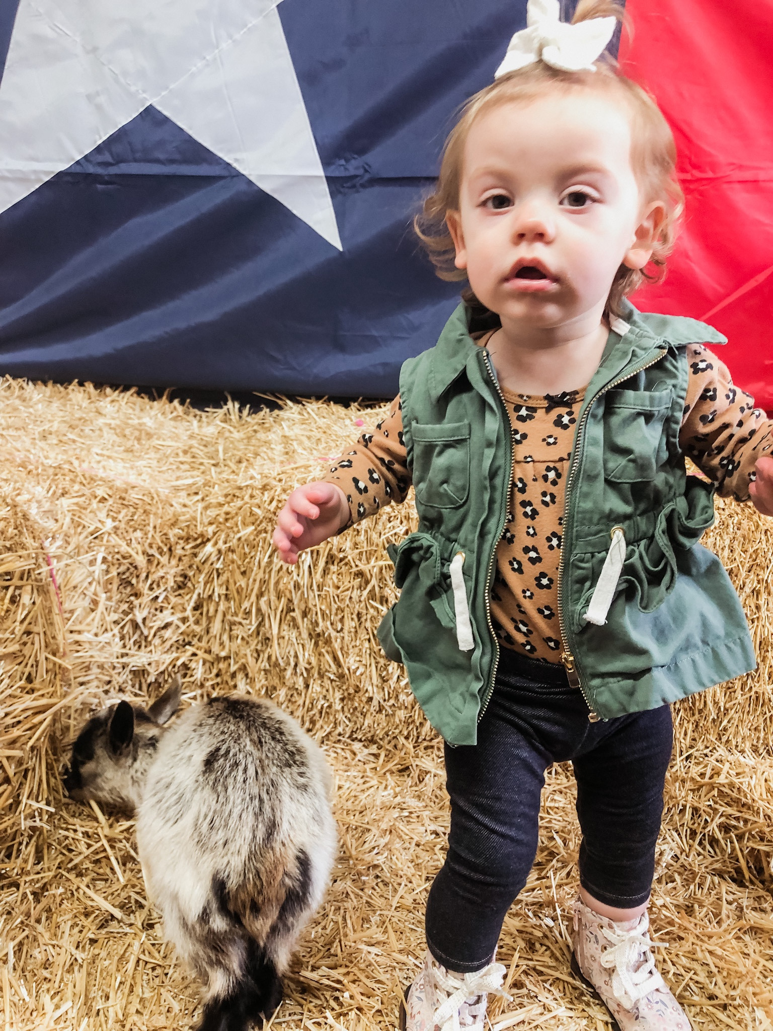Saylor Hope at the Stock show! 

#LTKunder50 #LTKbaby