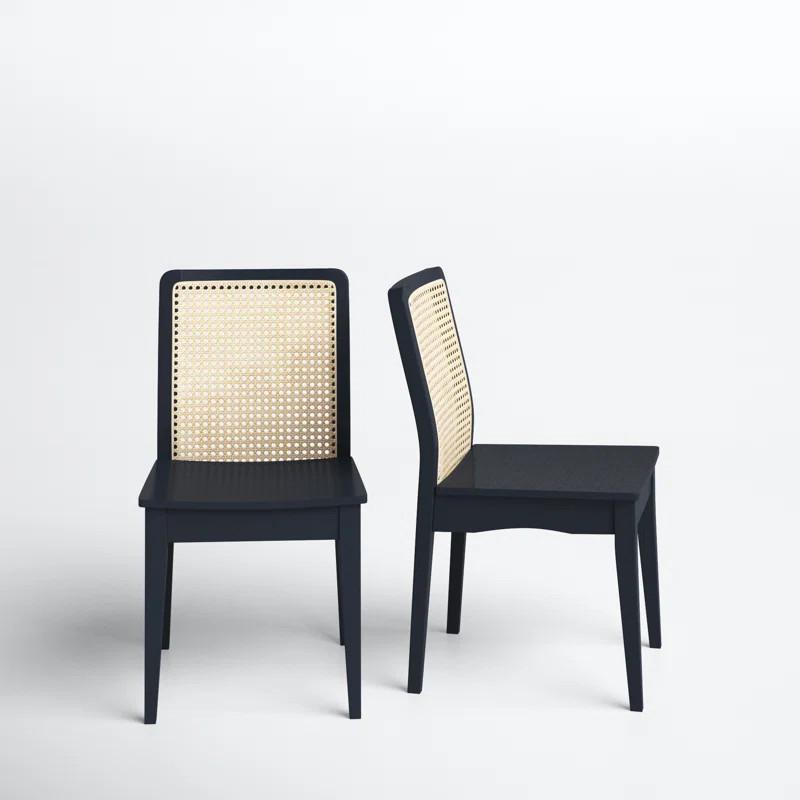 Montclair Dining Chair (Set of 2) | Wayfair North America