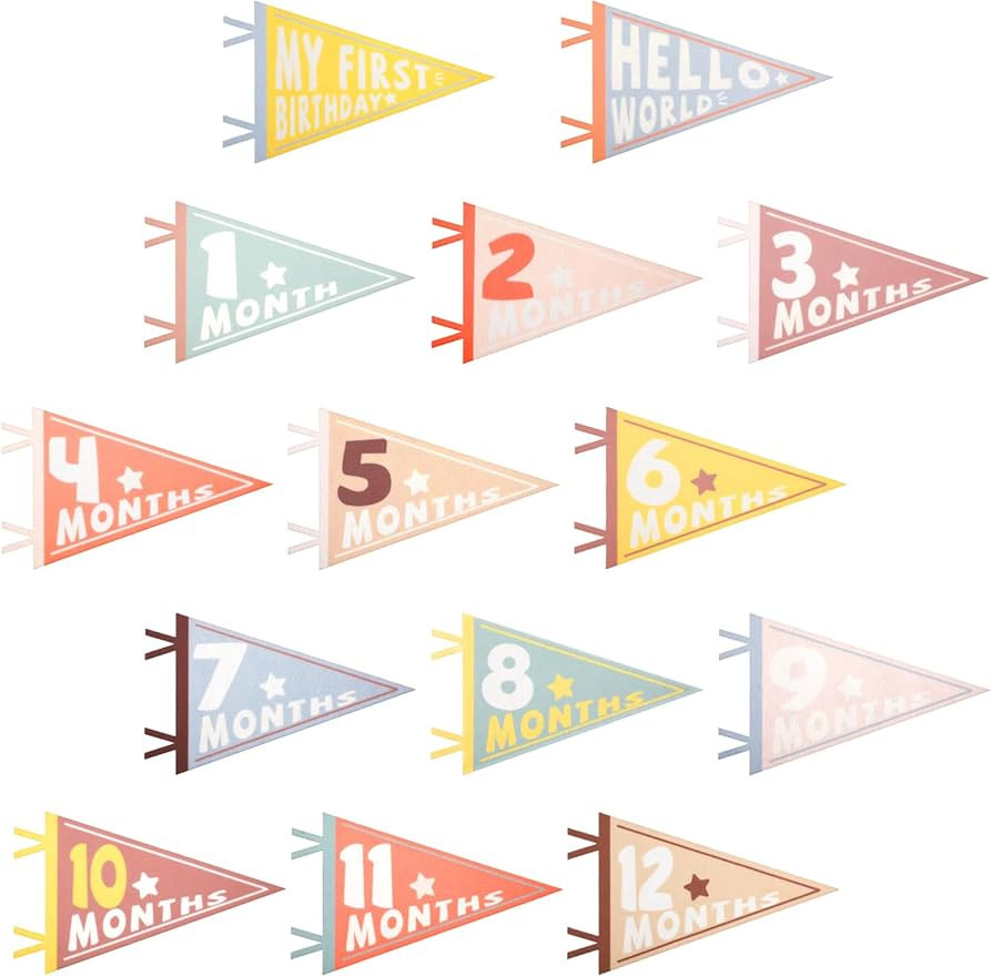 14pcs Baby Milestone Flags, Felt Monthly Milestone Pennant Flag Colorful Baby Milestone Signs for... | Amazon (US)