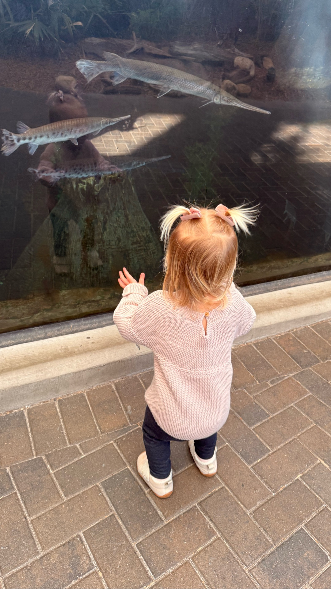 Seeing the ocean through her little eyes 🐠✨ So grateful we got to visit Fort Fisher Aquarium before it temporarily closes for a big multimillion-dollar renovation. A little bittersweet, but so excited knowing it’ll come back even more magical one day 🐢💙 These are the memories I’ll always treasure.

#WilmingtonMoms #MomLife #GirlMom #ToddlerLife #LittleMoments #MakingMemories

#LTKBaby #LTKmomlife #LTKvlog