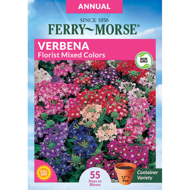 Ferry-Morse Verbena Florist Mixed Colors Flower Seeds 0.325-Gram | Lowe's