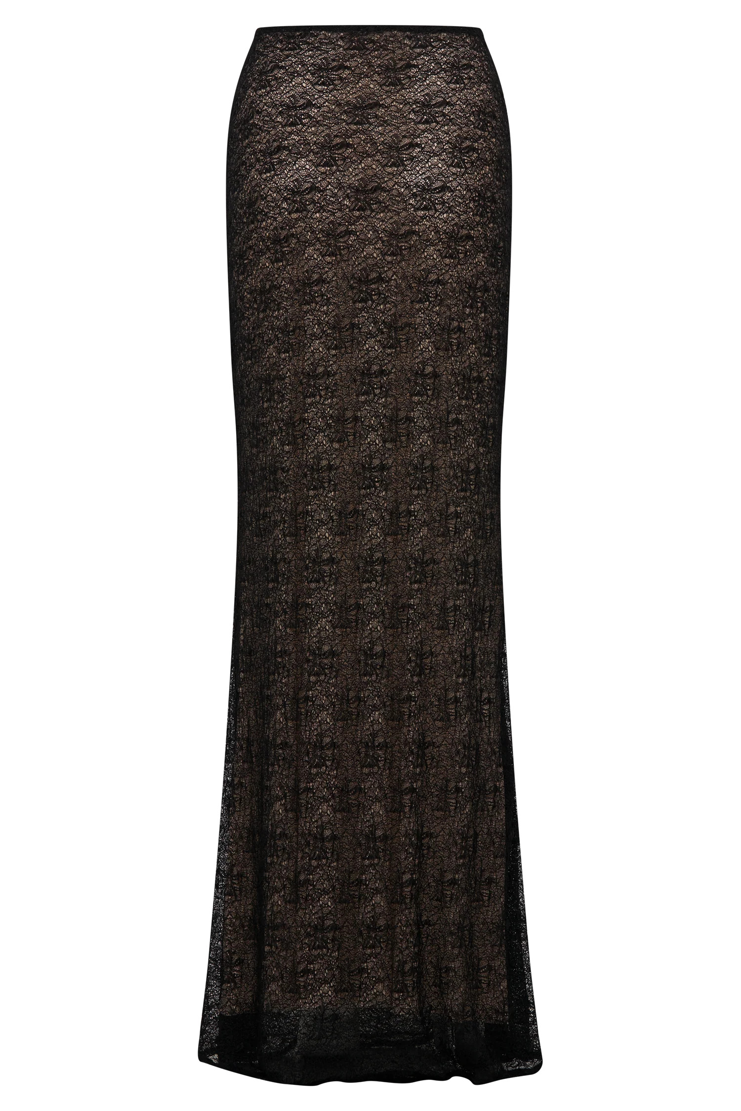 Robyn Sheer Lace Maxi Skirt - Black | MESHKI US