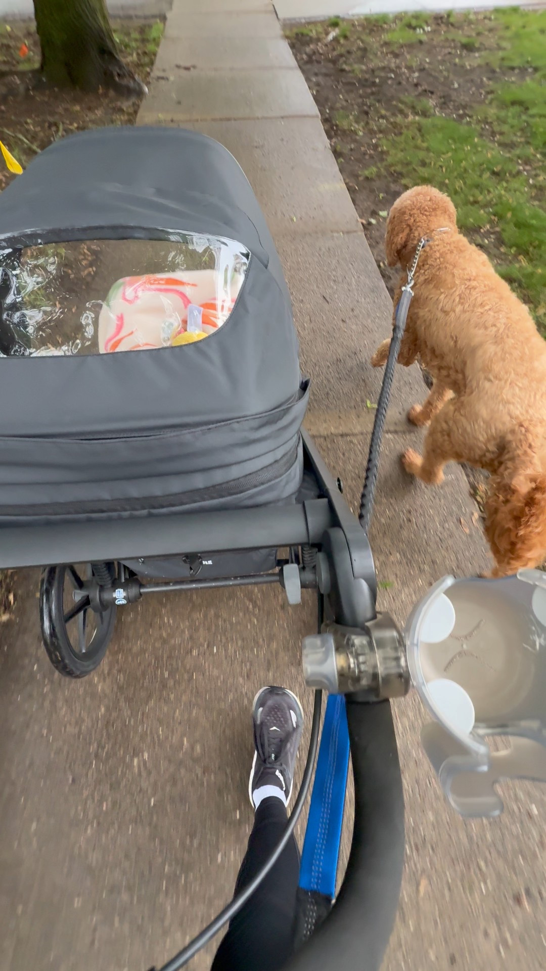 kind of obsessed with the vuori leggings

#LTKPetite #LTKFamily #LTKActive