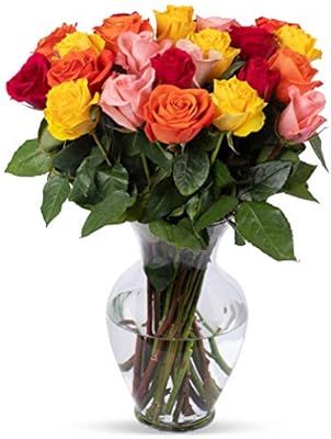 Benchmark Bouquets 2 Dozen Rainbow Roses, With Vase (Fresh Cut Flowers) | Amazon (US)