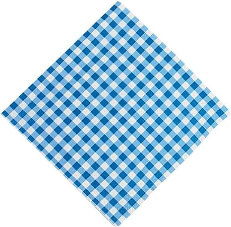 Blue Gingham Luncheon Napkins (bulk set 48) Event and Party Tableware Supplies | Amazon (US)