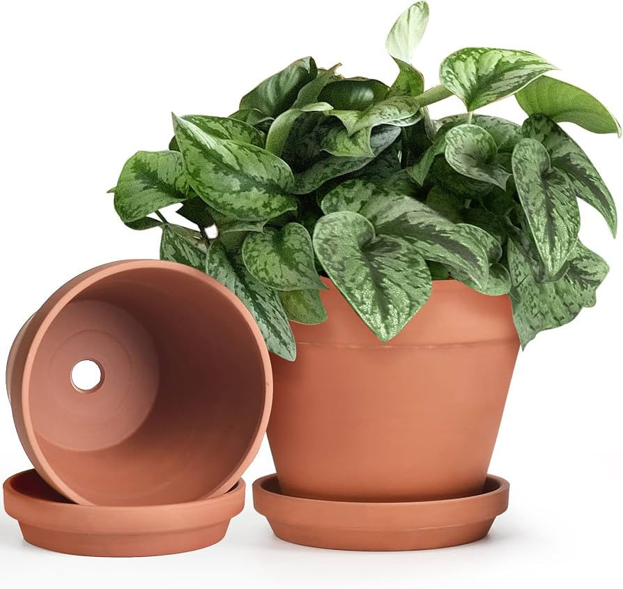 INGOFIN Terracotta Pots Set with Saucer - 2-Pack Ceramic Clay Planters with Drainage Hole, Garden... | Amazon (US)