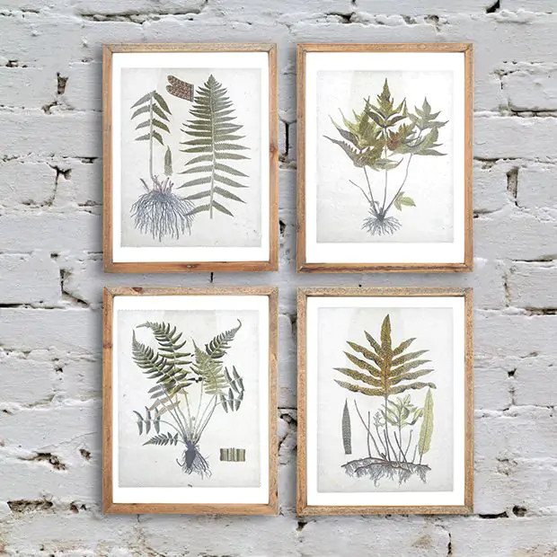 Wood Framed Botanical Wall Prints Set of 4 | Antique Farm House