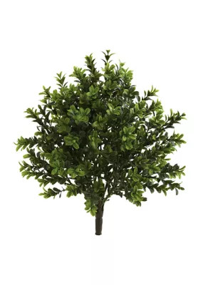 Nearly Natural Sweet Grass Bush Indoor/Outdoor - Set of 6 | Belk