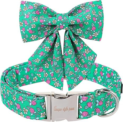 Unique style paws Cartoon Dog Collar with Bowtie Spring Summer Puppy Collar with Flower for Small... | Amazon (US)