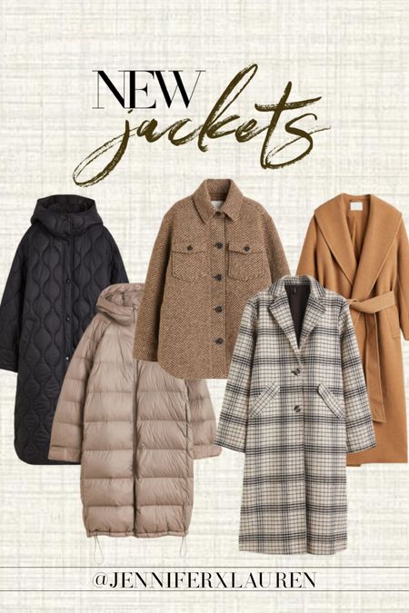 H&M winter jackets / coats 

#LTKunder100 #LTKstyletip #LTKSeasonal