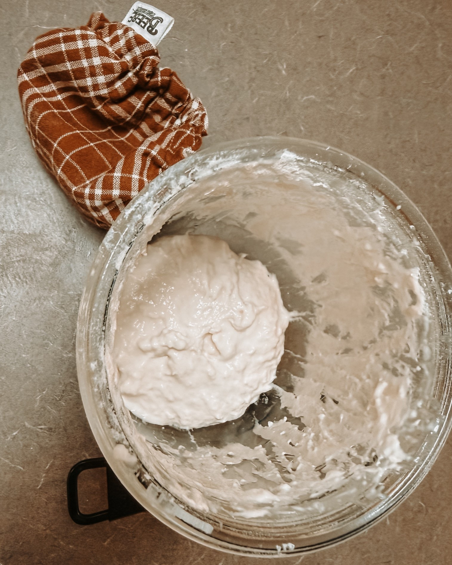 Day 4 
Getting a little bubbly! Healthy starter

#LTKfoodie #LTKHome #LTKmorningroutine