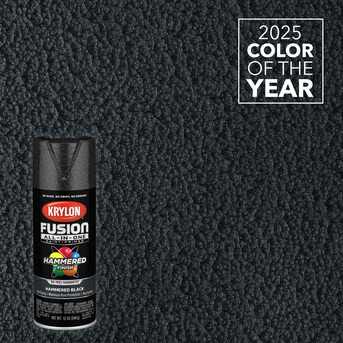 Krylon Fusion All-In-One Acrylic Enamel Matte 2025 Color Of The Year Black Hammered Spray Paint a... | Lowe's